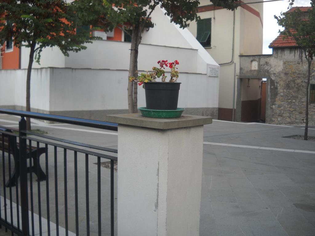 Giada Apartment ลาสเปเซีย ห้อง รูปภาพ
